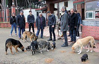 Harçlıklarıyla aldıkları mamalarla sokak hayvanlarını beslediler