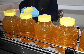 Ordu'dan Tanzanya ve Çin'e fındık yağı ihracatı