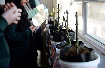 Şehitler anısına yetiştirilen güller mezarlarına dikilecek