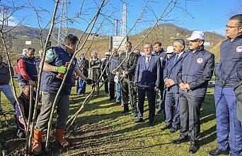 Vali Yavuz, örnek fındık bahçesini inceledi