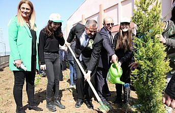 Bafra'da Orman Haftası etkinlikleri