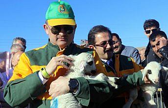 Bakandan altız yavrulayan koyuna nazar boncuğu