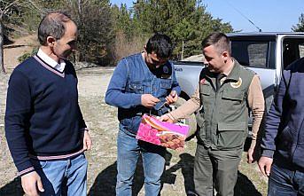 Dünya Ormancılık Günü