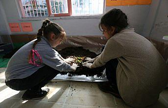 Evlerden atık toplayıp okulda solucan gübresi üretiyorlar