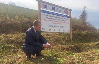 Fındık Üretiminde Geleneksel ve Modern Yöntemlerin İncelenmesi Projesi