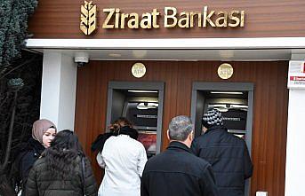 Fındıkta alan bazlı gelir desteği ödemesi başladı