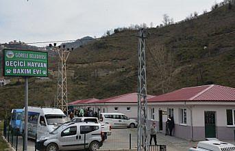 Görele'de Geçici Hayvan Bakım Evi hizmete girdi