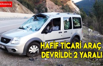 Hafif ticari araç devrildi: 2 yaralı