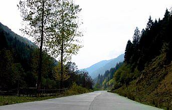 Karadeniz'de yolculuk yeşile dönüyor