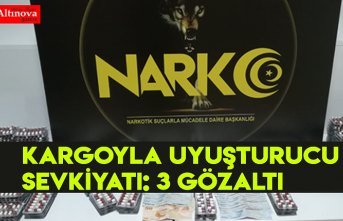 Kargoyla uyuşturucu sevkiyatı: 3 gözaltı