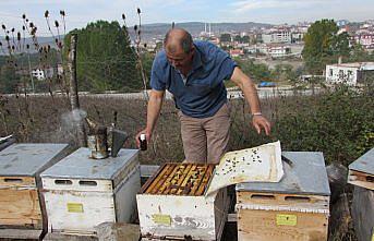 Kavak'ta arıcılara ilkbahar bakımı uyarısı