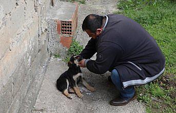 Köpeği suni solunumla hayata döndürmenin mutluluğunu yaşıyor