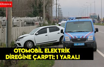 Otomobil elektrik direğine çarptı: 1 yaralı