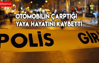 Otomobilin çarptığı yaya hayatını kaybetti