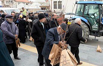 Tokat'ta fidan dağıtımında yoğunluk