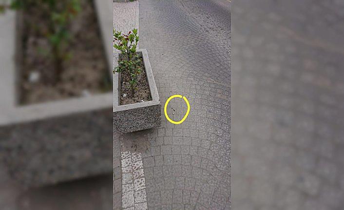 Zonguldak'ta havaya ateş açan 2 şüpheli yakalandı