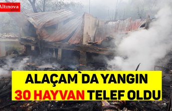 Alaçam`da yangın 30 hayvan telef oldu