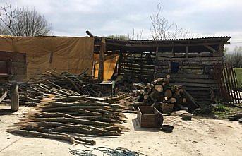 Alaçam'da kaçak orman emvali bulundu