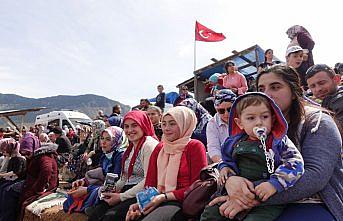 Artvin'de boğa güreşi festivali