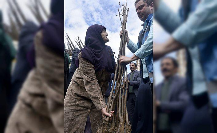 Gümüşhane'de ceviz üretimi artacak