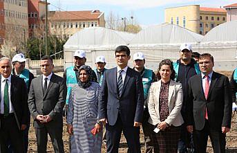 Hükümlüler cezalarını sebze üreterek çekiyor