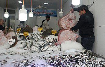 Kalkan bolluğu balıkçının yüzünü güldürdü
