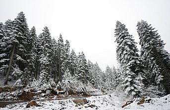 Karabük'te yüksek kesimler beyaza büründü