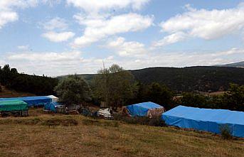 Küçük Evrim'den yaklaşık 10 aydır haber yok