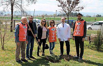 Merzifon'da fidan dikim töreni