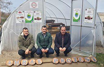 Okul bahçesinde kurulan serada yerli tohumla ürün yetiştirilecek