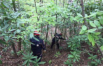 Rize'de kaybolan kadından 3 gündür haber alınamıyor