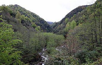 Rize'de köylülerden taş ocağı yapımına tepki
