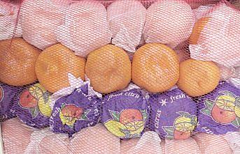 Rusya'ya ihracata domates, mandarin ve limon katkısı
