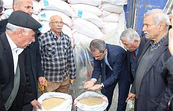 Tosya'da üreticilere çeltik tohumu dağıtıldı