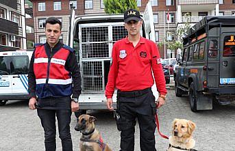 17 saatlik titiz çalışma mutlu sonla bitti