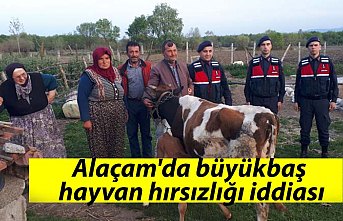 Alaçam'da büyükbaş hayvan hırsızlığı iddiası