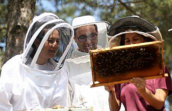 Arıcılar rotalarını arı zehrine çevirecek