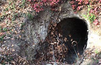 Bartın'da 20 metrelik 