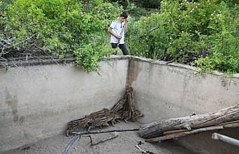 Boş sulama havuzuna düşen domuz yavrularını itfaiye kurtardı