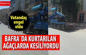Cami Heyeti Ağaçların Kesilmesini istedi, vatandaş Engel oldu
