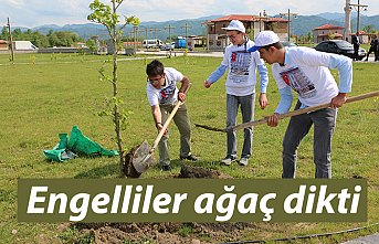 Engelliler ağaç dikti