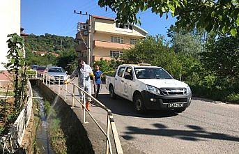 Ereğli Belediyesi'nden ilaçlama çalışması
