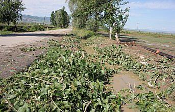 GÜNCELLEME - Amasya'da sağanak ve dolu etkili oldu