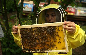 Hayallerine arı ve bal üretimiyle kavuştu