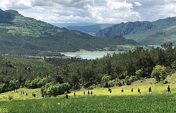 Kaybolan 1,5 yaşındaki Ecrin'i arama çalışmaları yeniden başlatıldı