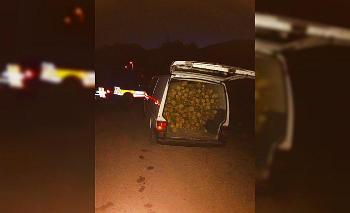 Koruma altındaki ağaçları kesen 3 kişi yakalandı