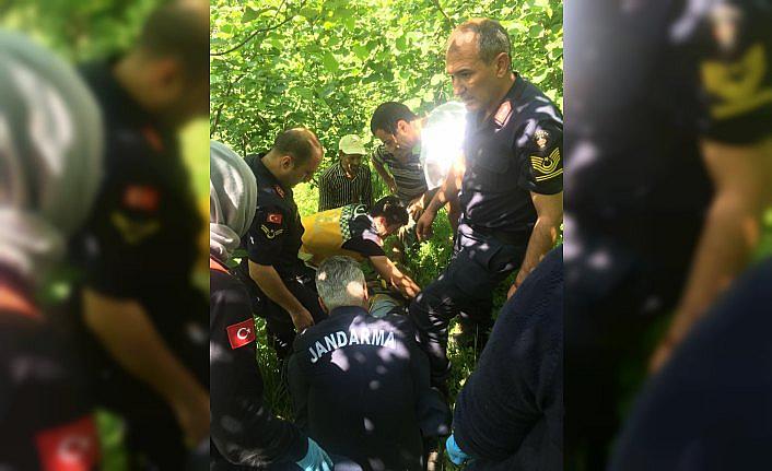 Ordu'da kaybolan yaşlı adam 8 gün sonra sağ bulundu