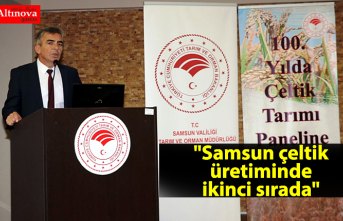 "Samsun çeltik üretiminde ikinci sırada"