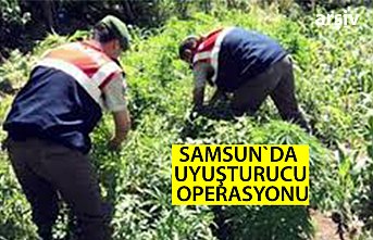 Samsun'da jandarmadan uyuşturucu operasyonu