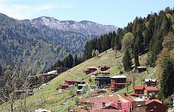 Tatilcilerden bayramda Ayder Yaylası'na ilgi